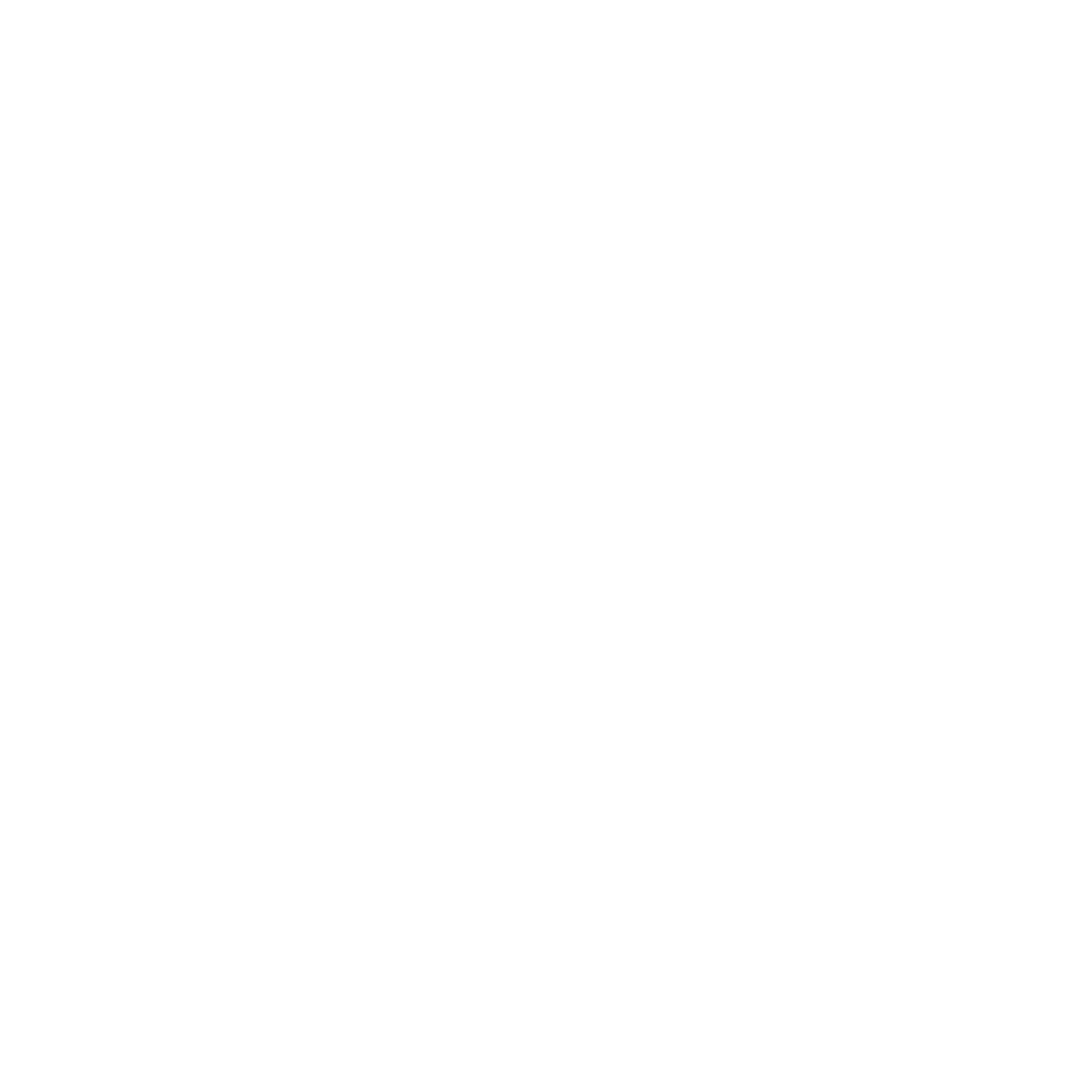 Direct Wholesale logo